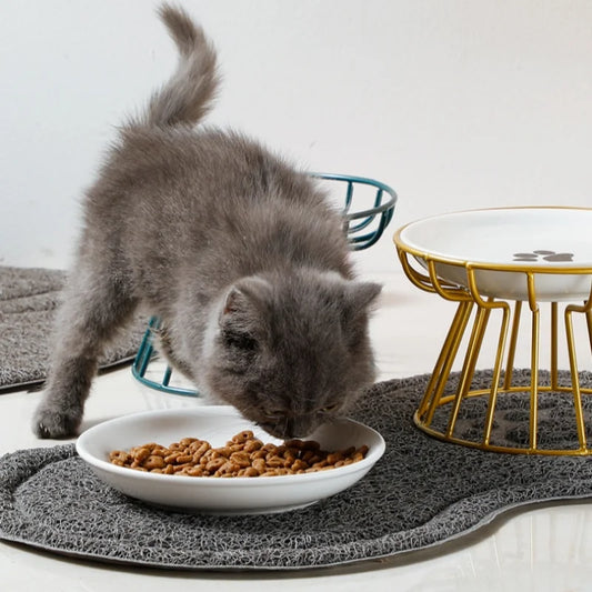 Ceramic For Dog Cat Puppy Kitten Elevated Cat Feeder Drinker Pet Feeder Bowl Pet Supplies Cat Food Bowl Water Feeder Container